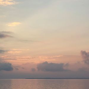 Meet your Posher, Jane